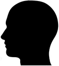 Thumbnail for version as of 16:15, 17 November 2015