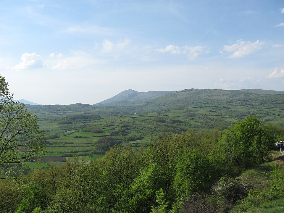 File:Sljivovicki vis.jpg