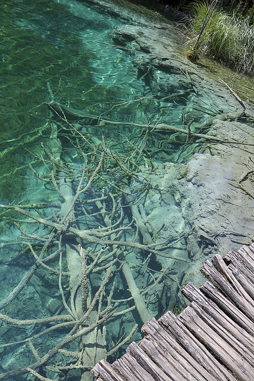File:WaterDetail.jpg