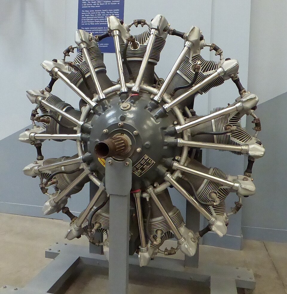 File:Yewjr 2b (23123083244).jpg