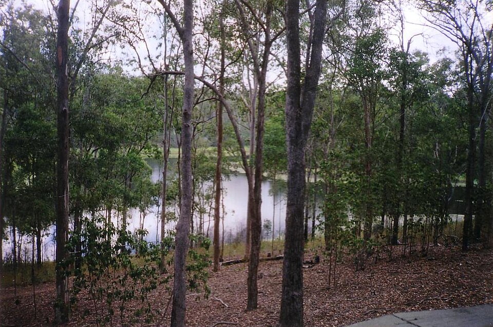 File:Enoggera-Reservoir.JPG