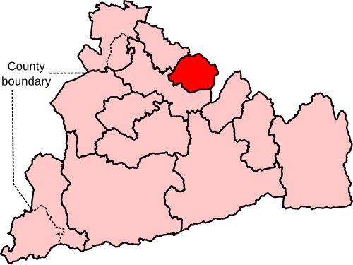 File:Esher and Walton Constituency 2023.svg