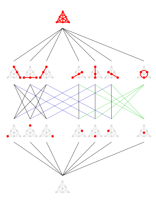 File:Fano plane Hasse diagram.svg