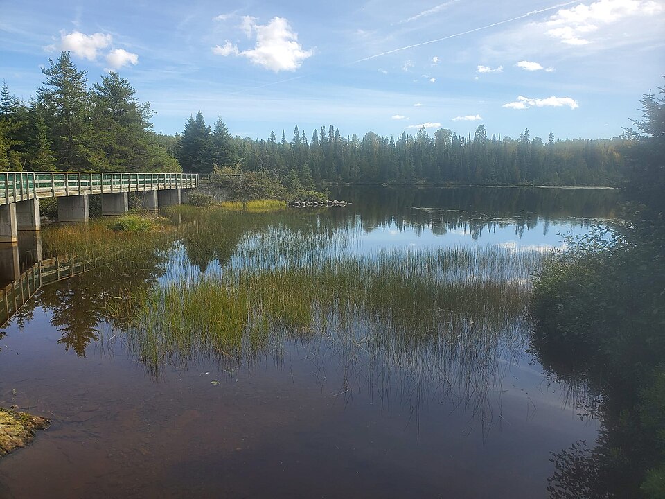 File:Hazelwood Lake Conservation Area.jpg