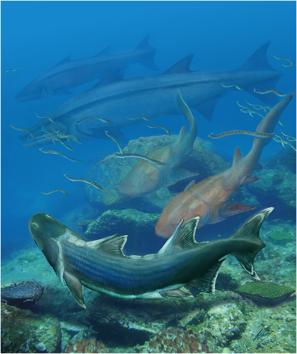 File:Life restoration of Sparalepis tingi.tiff