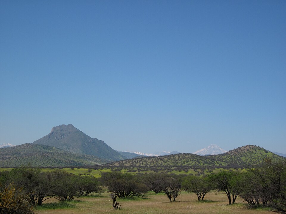 File:Matorral Cerro Aconcagua.JPG