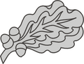 Thumbnail for version as of 16:57, 27 November 2008