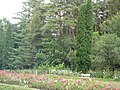 Thumbnail for version as of 06:27, 23 August 2011