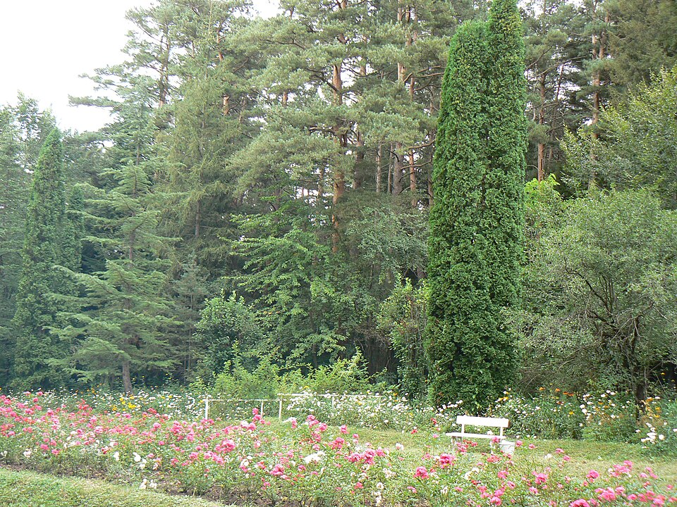 File:Stepanavan Dendropark 2011 2.jpg