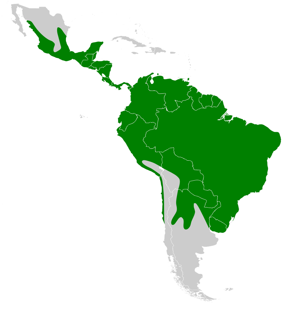 File:Desmodus rotundus map.svg