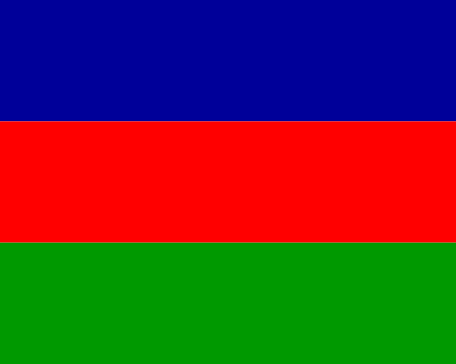 File:Flag of the CNDD.svg