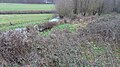 Frogmore Meadows