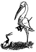 Lampoon's Ibis Mascot c. 1888