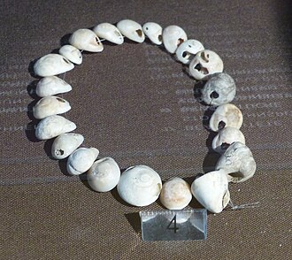 Gravettian Tritia neritea shell chain