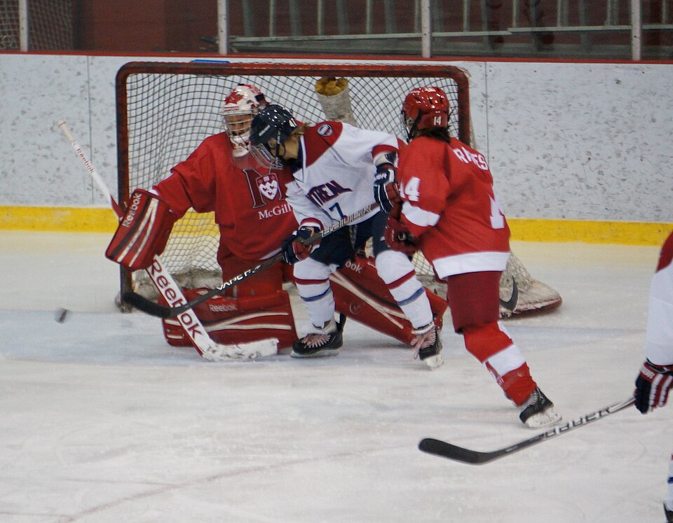 File:McGill Martlets 18 janvier 2011 117.jpg