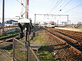 Thumbnail for version as of 19:49, 2 April 2008