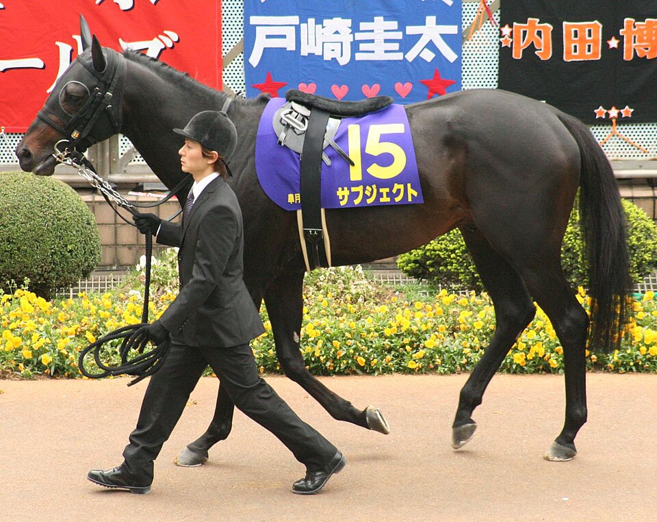 File:Subject (horse) 20080420P1.jpg