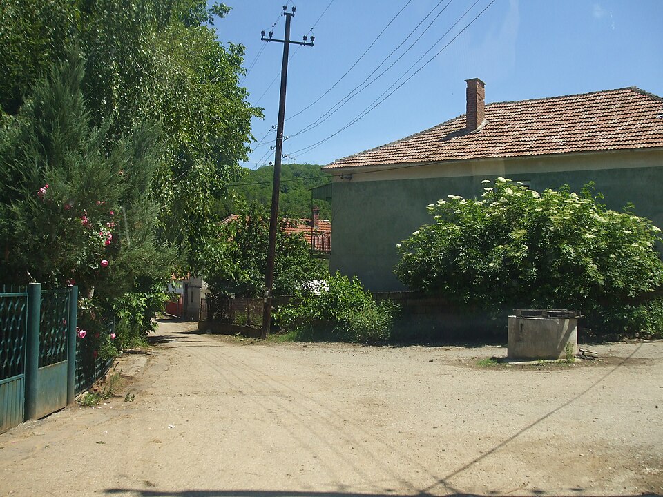 File:Доње Власе-4.JPG