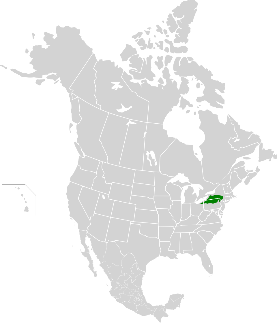 File:Allegheny Highlands forests map.svg