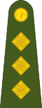CaptaenIrish Army