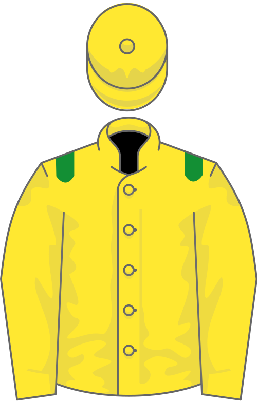 File:Owner E Sarasola.svg