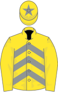 Yellow and grey chevrons, yellow sleeves, yellow cap, grey star
