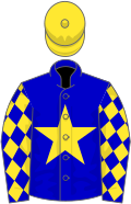 Blue, yellow star, diamonds on sleeves, yellow cap