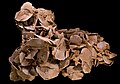 Image 17Gypsum desert rose (from Mineral)