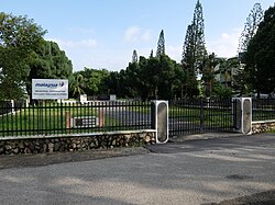 picture1