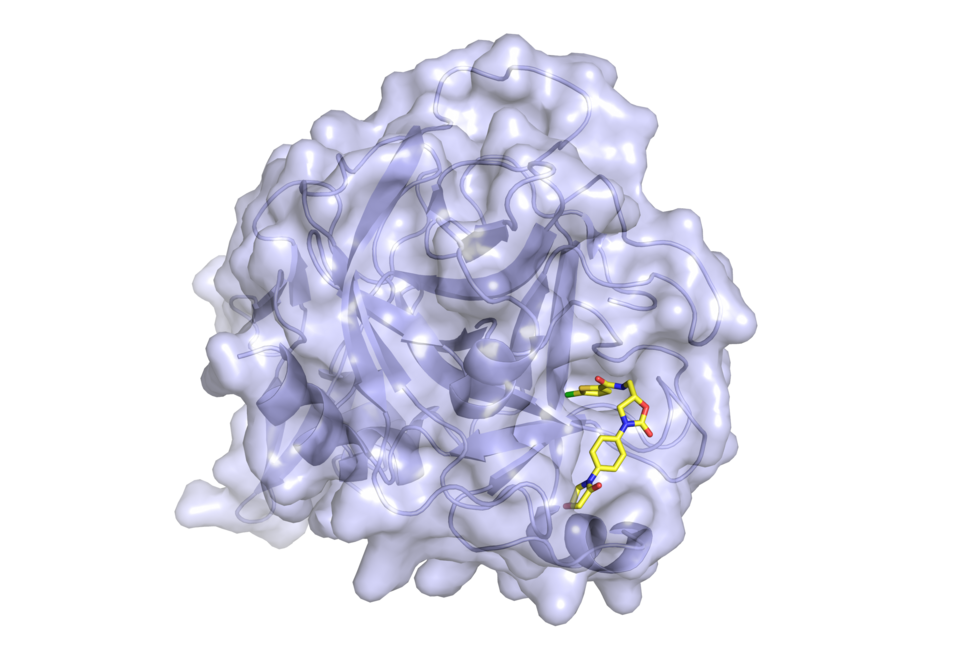File:FXa-rivaroxaban.png