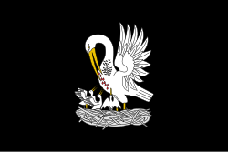 New SVG image