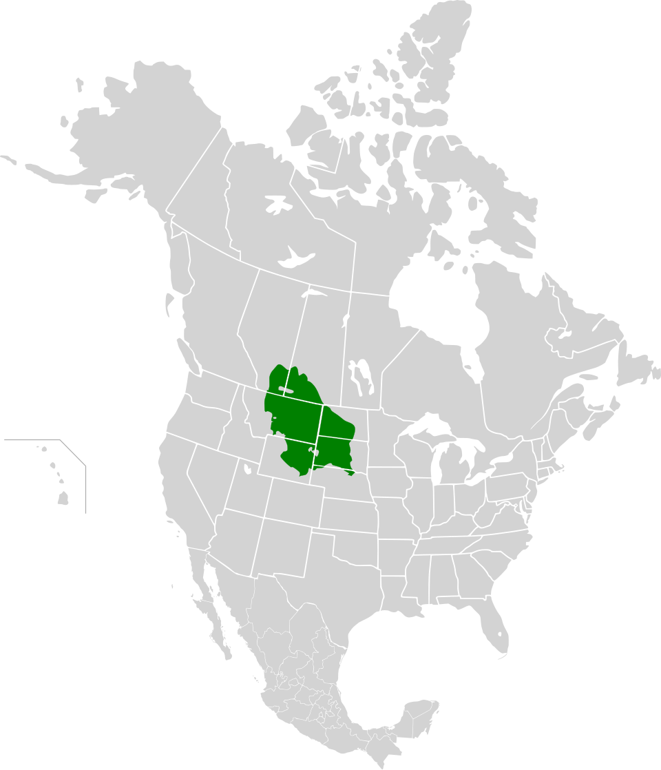 File:Northern short grasslands map.svg