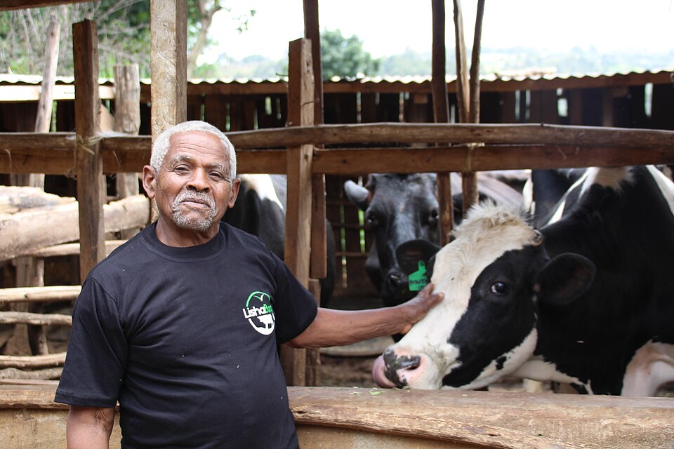 File:Smallholder Dairy Farmer.jpg