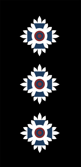File:Unit Controller VICSES.png