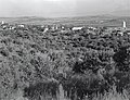 Alonim, 1945