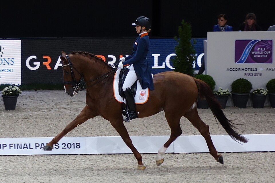 File:2018FEI-WORLD-CUP-DRESSAGE-Madeleine-Witte-Vrees.jpg