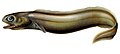 Thumbnail for version as of 07:51, 21 December 2011