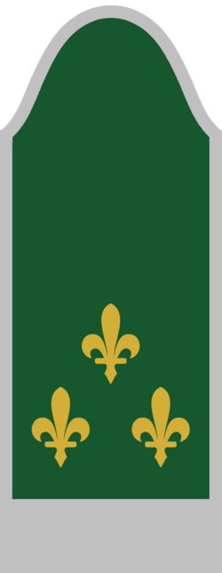 File:Colonel---Army-of-the-Republic-of-Bosnia-and-Herzegovina-1992.png