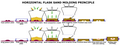 Thumbnail for version as of 15:17, 21 May 2008