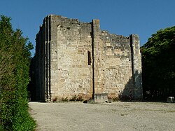 Château de Montignac – Pierre II d'Amboise [fr; de; nl] (c. 1357–1426), Viscount of Thouars, sold it to the La Rochefoucauld 13 January 1399.