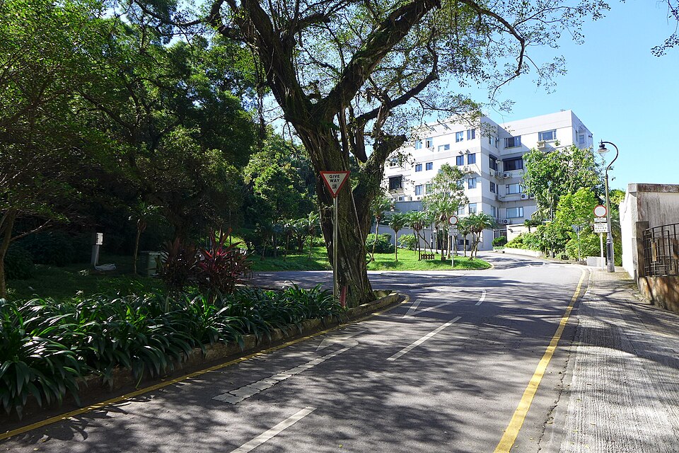 File:Mount Austin Road View1 2016.jpg