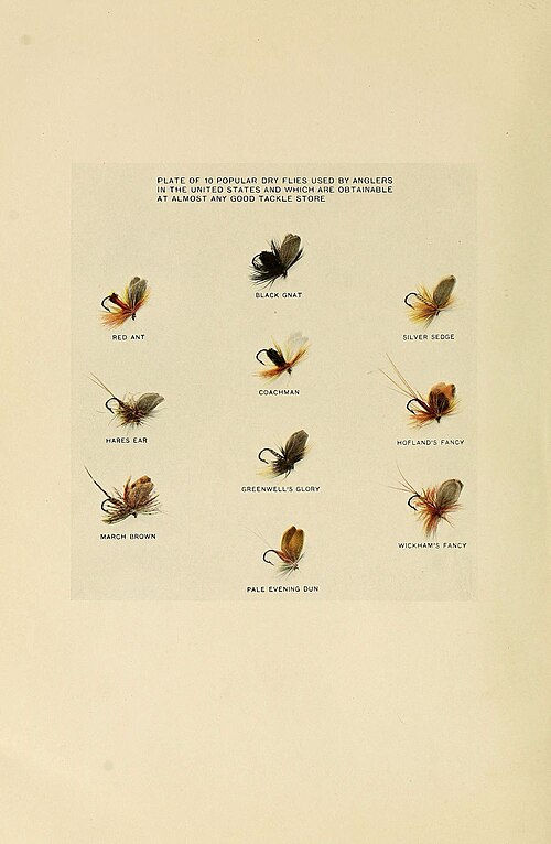 File:Trout fly-fishing in America (6309074584).jpg