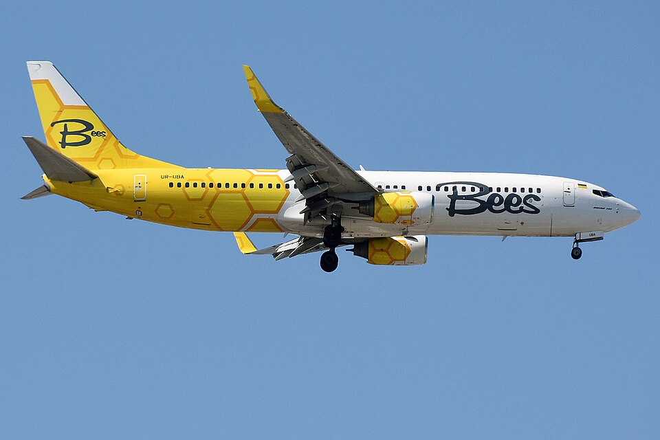 File:Bees Airline, UR-UBA, Boeing 737-8HX.jpg