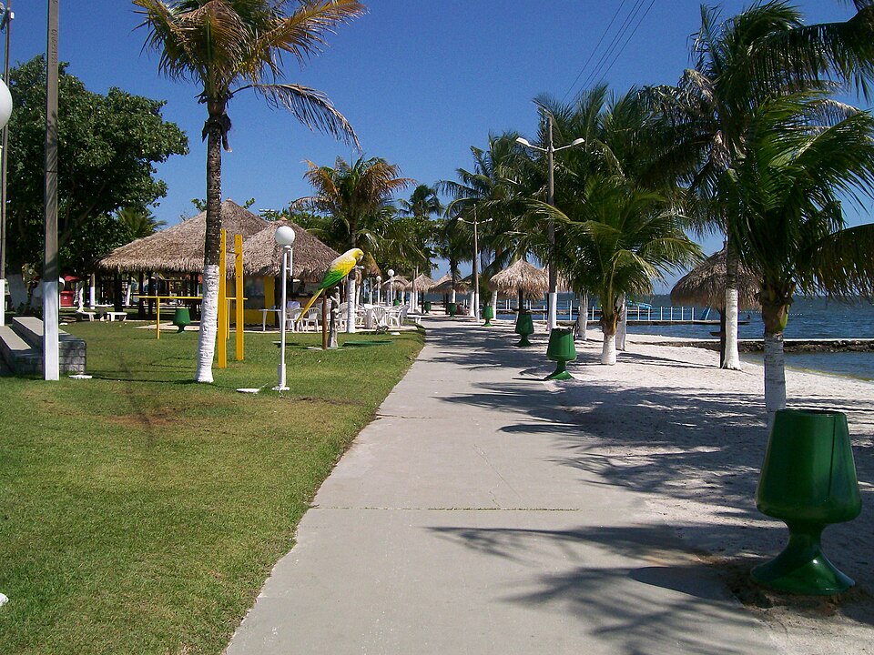 File:Coqueiros de Iguaba - panoramio.jpg