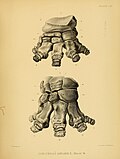 Thumbnail for version as of 17:55, 20 September 2015