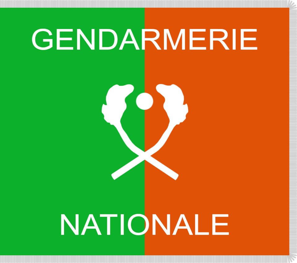File:Flag of the National Gendarmerie (Niger).png