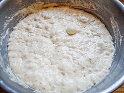 A bowl of very bubbly dough.