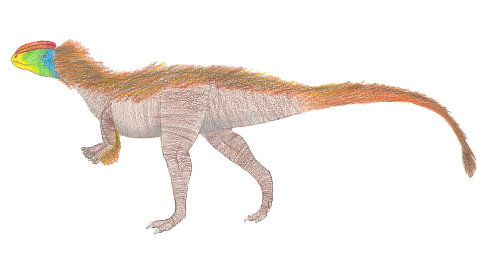 File:Kayentavenator.jpg