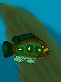 Mahengechromis curvifrons