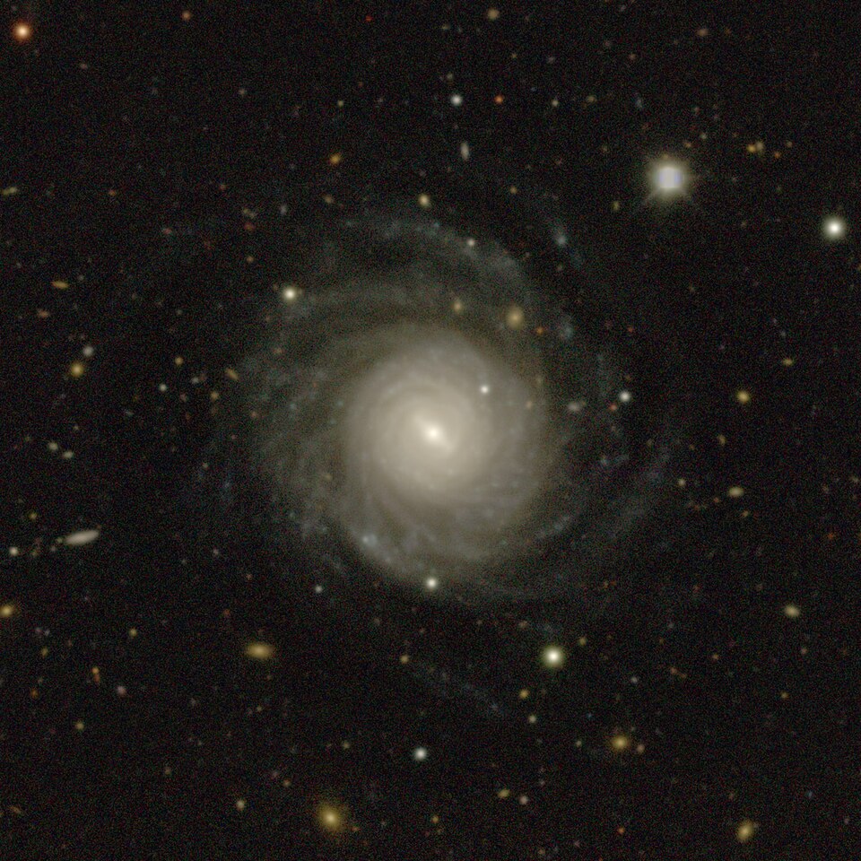 File:NGC 626 DECam.jpg